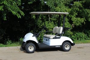 Rental 2 Passenger Golf Car