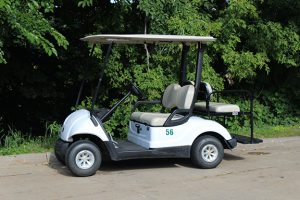 Rental 4 Passenger Golf Car