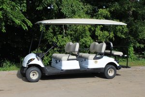 Rental 6 Passenger Golf Car