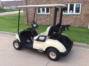 Sunstone Drive 2 with QuieTech-Harris Golf Cars-Iowa, Illinois, Wisconsin, Nebraska