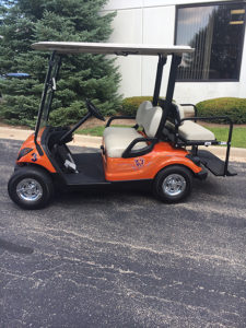 2011 Custom Chicago Bears-Harris Golf Cars-Iowa, Illinois, Wisconsin, Nebraska