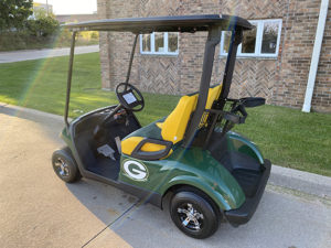 2009 Green Bay Packers Golf Car