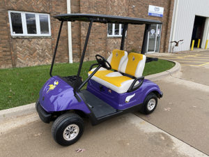 2009 Minnesota Vikings Golf Car