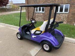 2009 Minnesota Vikings Golf Car