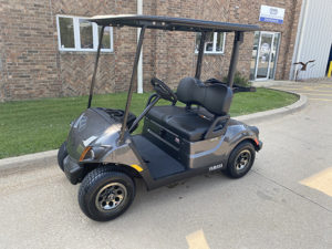 2021 Carbon Metallic Golf Car