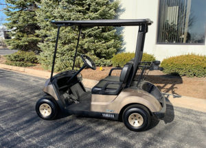 2020 Mica Golf Car