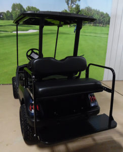 2010 Twilight Blue Golf Car