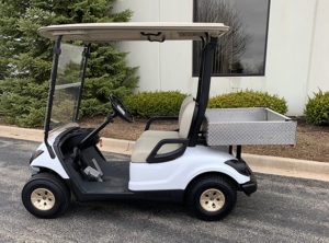 2009 Glacier White Utility Car