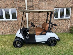 2017 Glacier White with Brown Seats