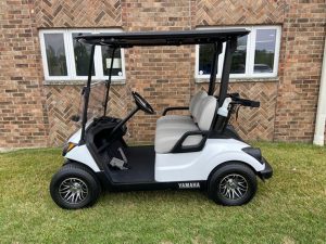 2017 Glacier White Golf Car