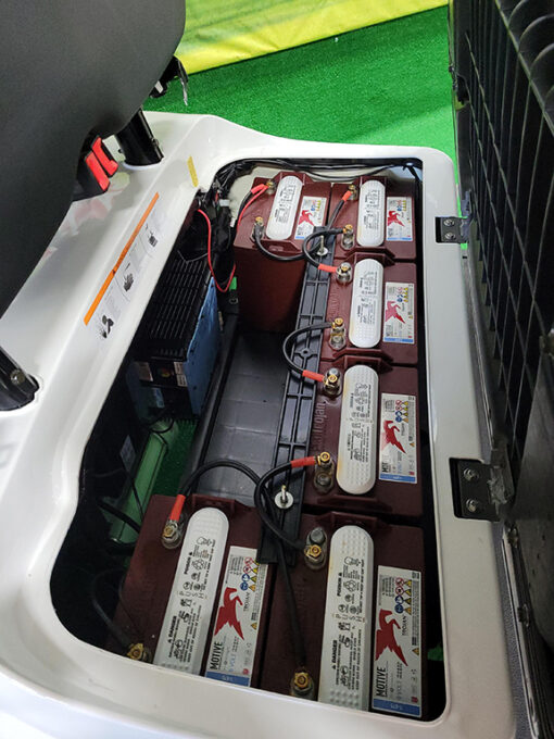 2021 White with Black Seats 4-Passenger