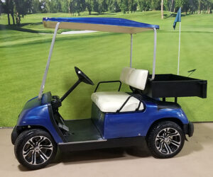 2001 Custom Blue Utility Vehicle
