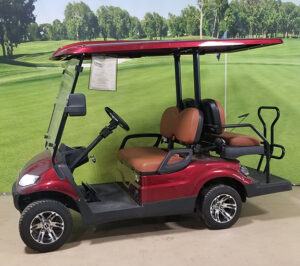 2021 Icon Burgundy Vehicle