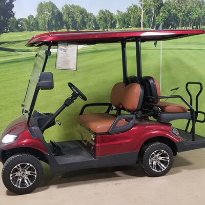 2021 Icon Burgundy Vehicle