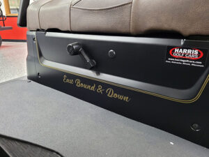 Custom Smokey and the Bandit Golf Car