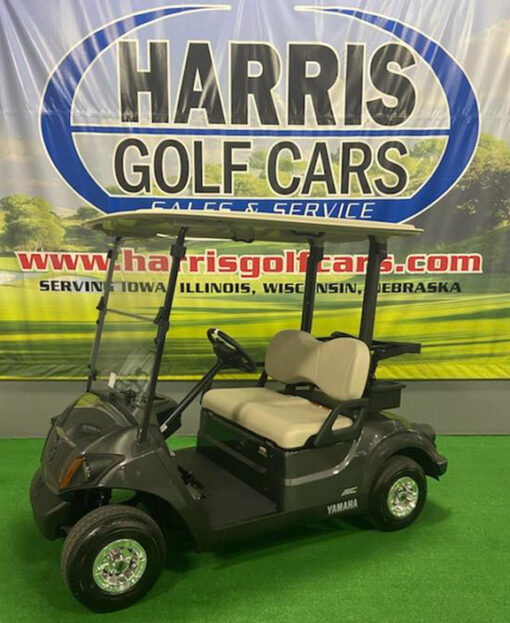 2021 Carbon Metallic Fleet Golf Car