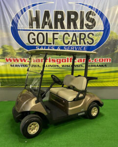 2021 Mica Metallic Golf Car