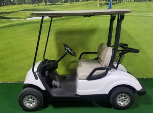 2013 Glacier Golf Car