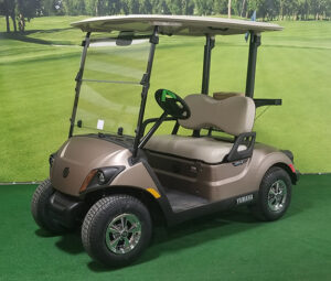 2022 Mica Matte Golf Car