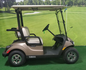 2022 Mica Matte Golf Car