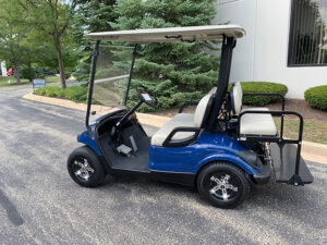 2016 Tanzanite Electric Golf Car