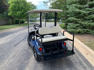 2016 Tanzanite Electric Golf Car
