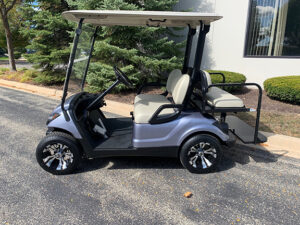 2010 Anthracite Golf Car