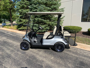 2016 Moonstone Golf Car