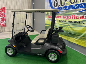 2019 Carbon Metallic Golf Car
