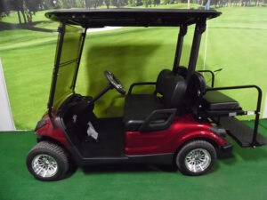 2009 Electric Golf Car