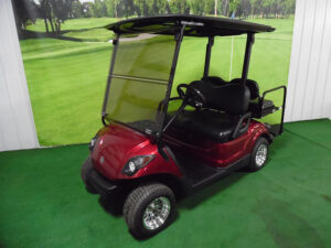 2009 Electric Golf Car