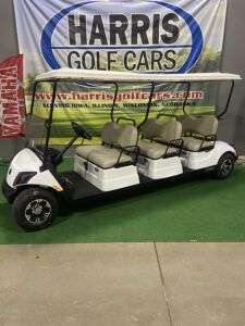 2018 Glacier White 6-Passenger