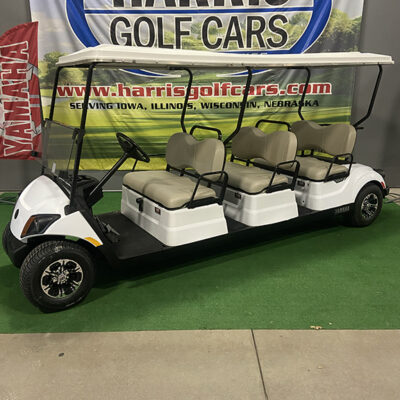 2018 Glacier White 6-Passenger