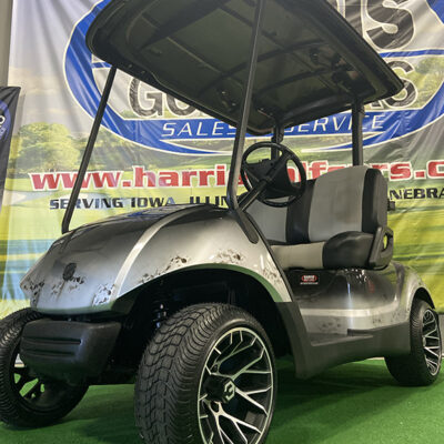 2009 Black and Gray Skull Golf Car