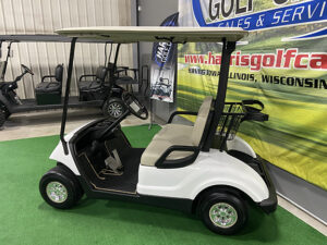 2012.5 Glacier Golf Car