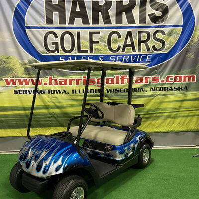 2014 Silver and Blue Tribal Golf Car