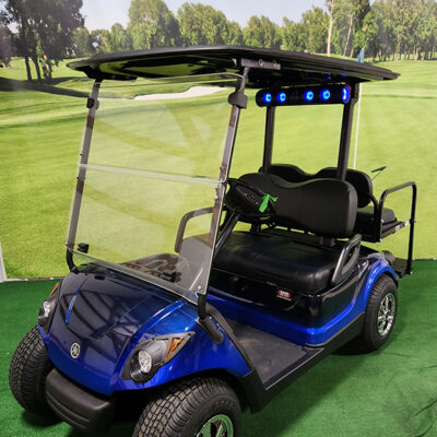 2013 Blue and Black Golf Car