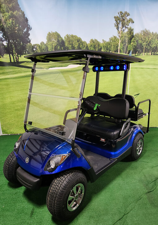 2013 Blue and Black Golf Car