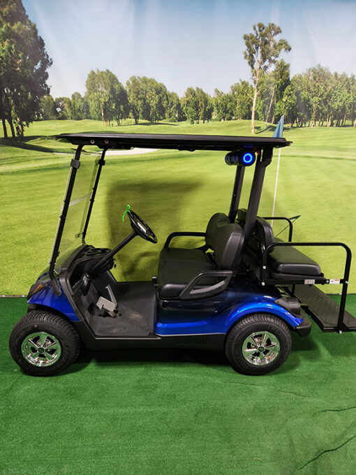 2013 Blue and Black Golf Car