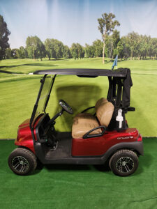 2019 Garnet Golf Car