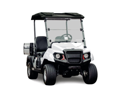 2024 Yamaha UMAX Rally Glacier White Utility Vehicle