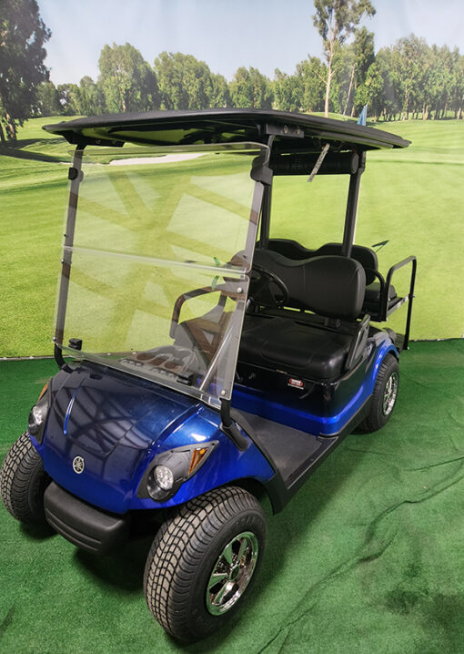 2013 Black and Blue Golf Car