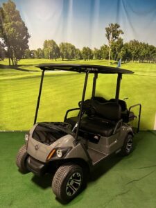 2017 Custom Gray Electric Golf Car