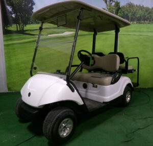 2009 Glacier White Golf Car