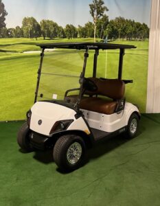 2024 Pearl Metallic Gas Golf Car