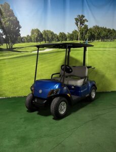 2025 Arctic Drift Gas Golf Car