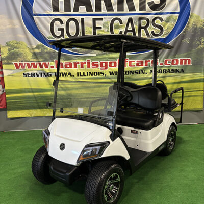 2019 Glacier White Electric Vehicle