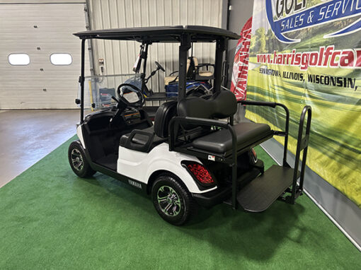 2019 Yamaha Drive 2 Electric Glacier White 4-Passenger Vehicle - Image 5