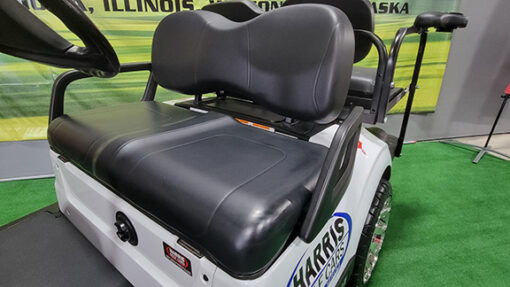 2017 Yamaha Drive 2 AC Fleet Custom Fighting Saints 4-Passenger Vehicle - Image 4