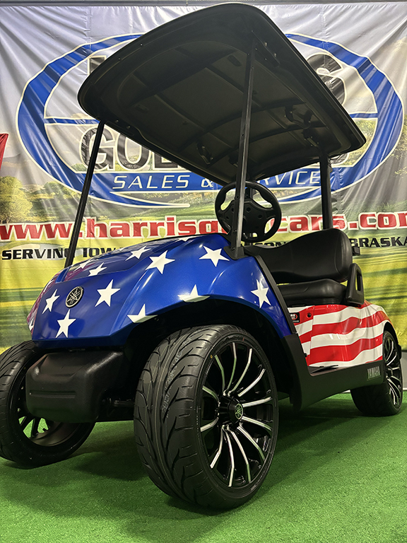 Custom American Spirit 4-Passenger Vehicle - Image 3